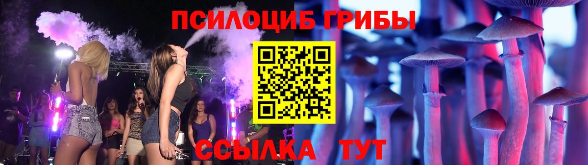 Псилоцибиновые грибы мицелий Мариинск